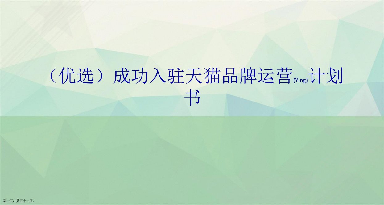 成功入驻天猫品牌运营计划书演示