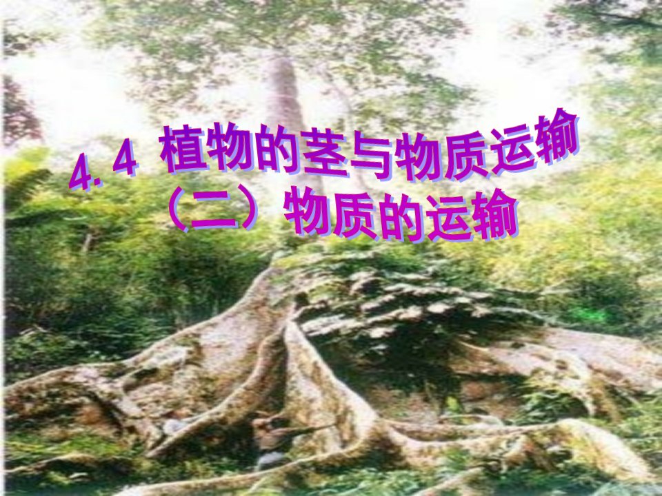 2016春浙教版科学八下4.4《植物的茎与物质运输》第一章