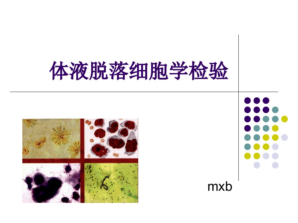 胸腹水细胞学检验