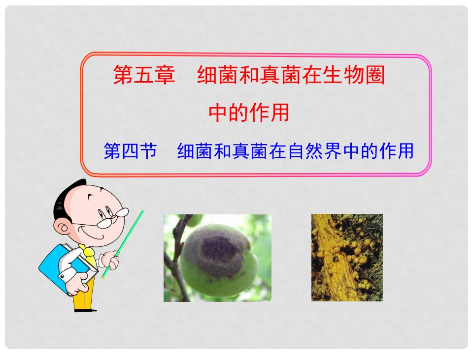 吉林省通化市八年级生物上册