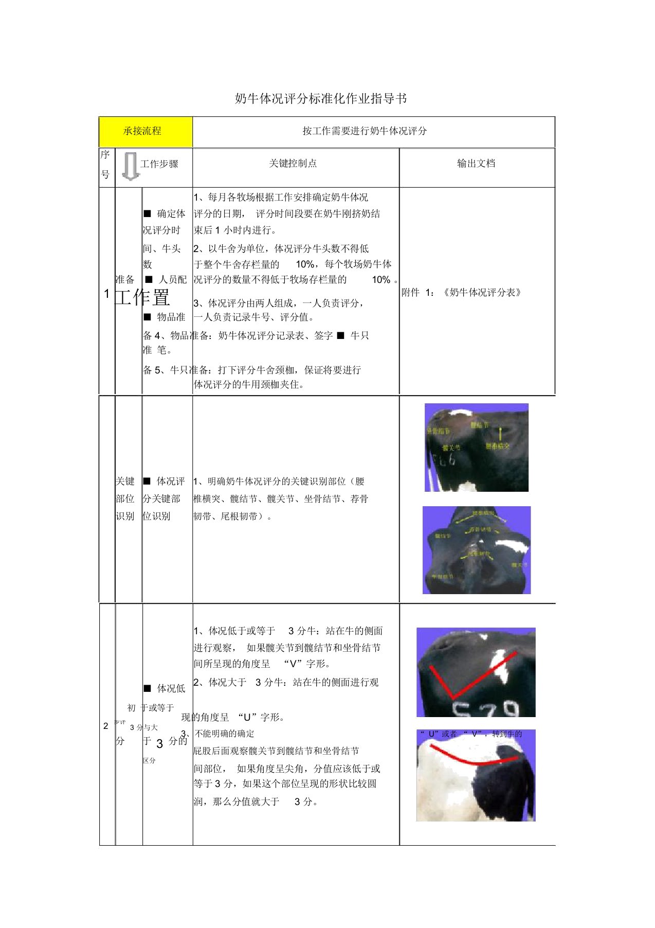 (完整版)奶牛体况评分标准化作业指导书