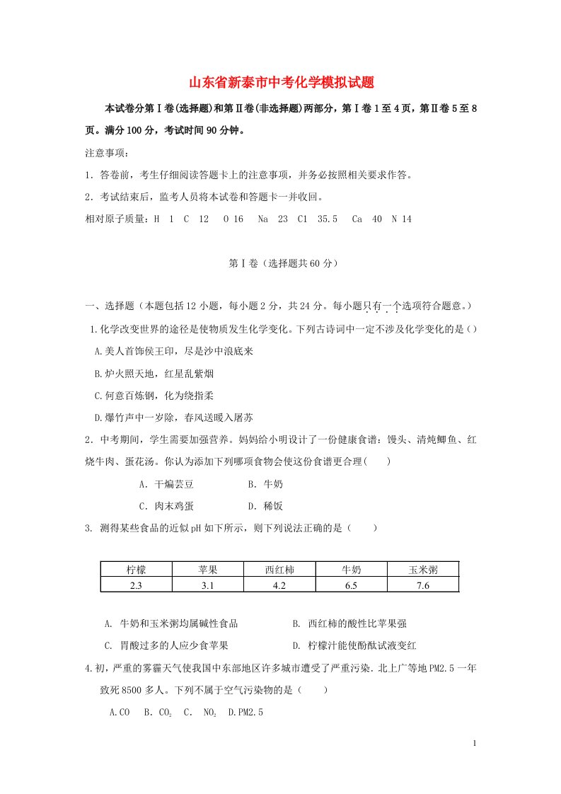 山东省新泰市中考化学模拟试题