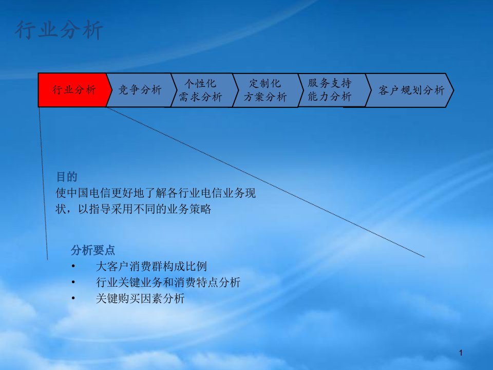 某咨询中国电信BPR项目福州大客户六步分析法实例