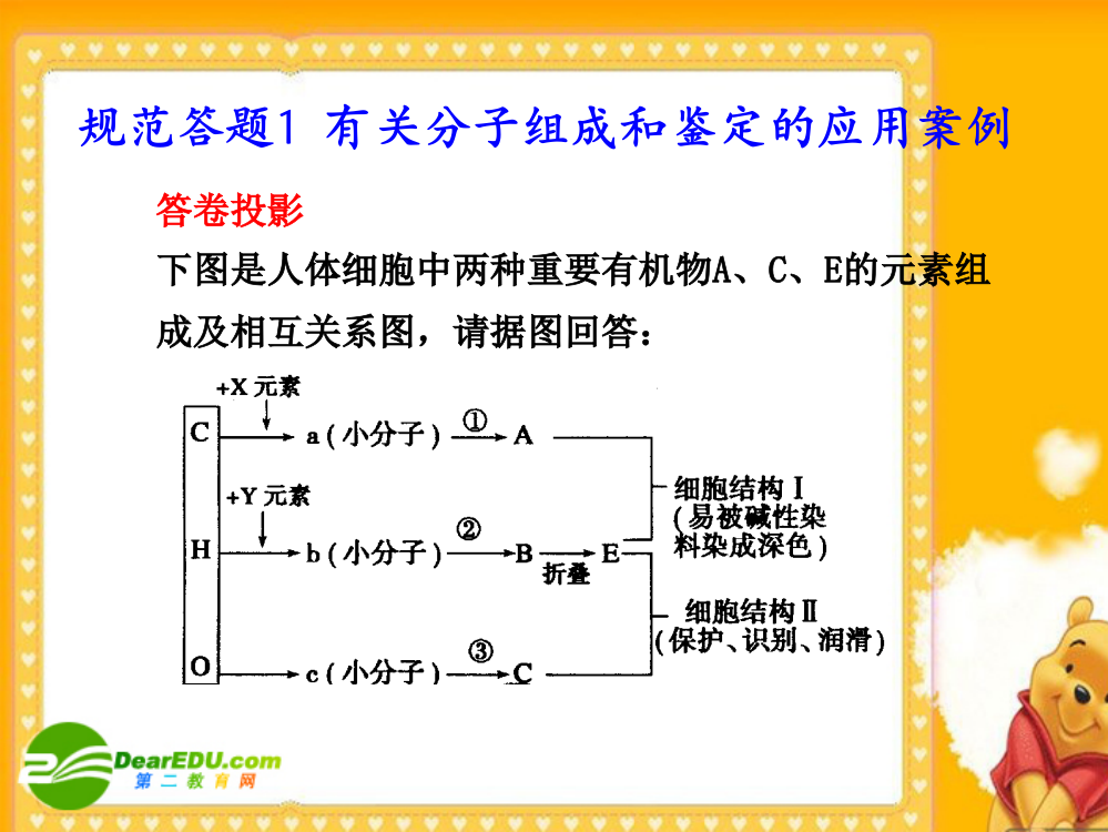 规范答题1