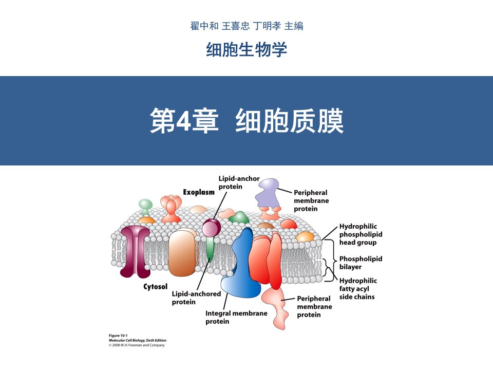 细胞生物学