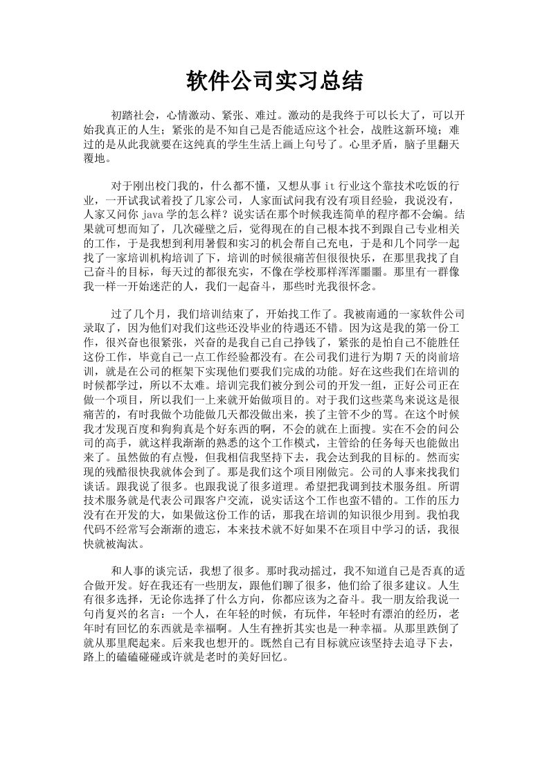 软件公司实习总结