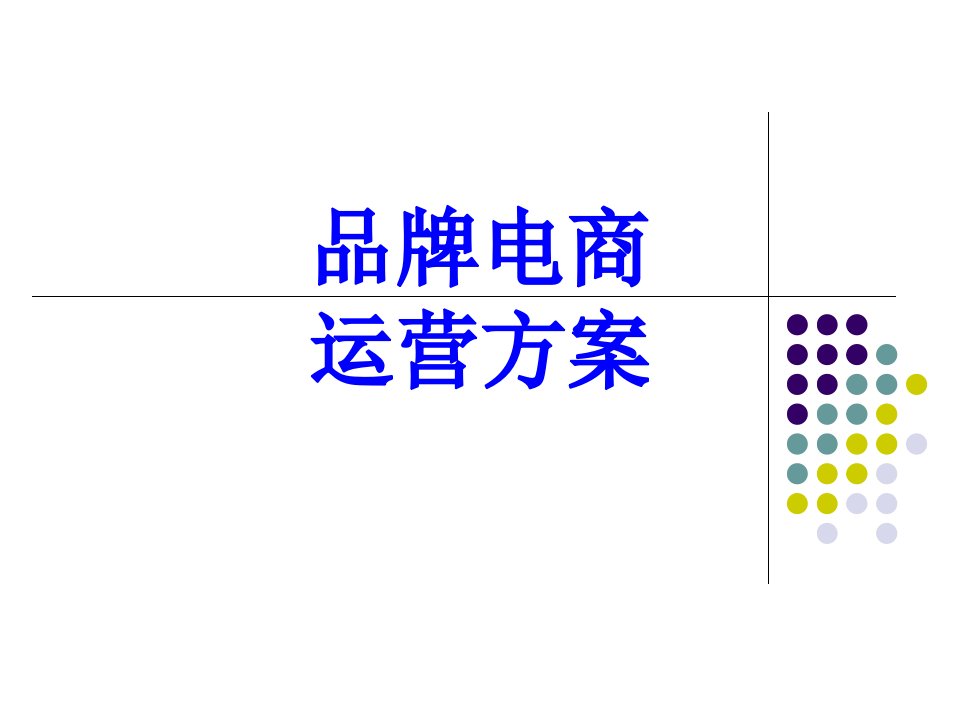 品牌电商运营方案经典课件