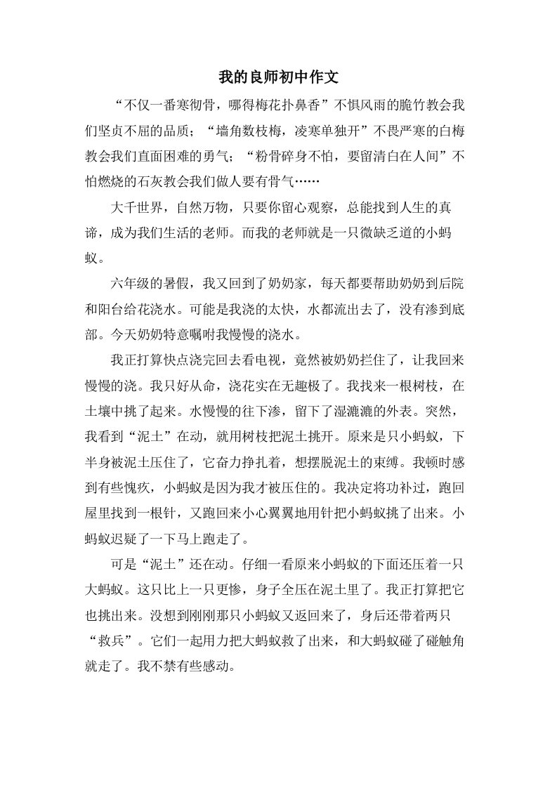 我的良师初中作文