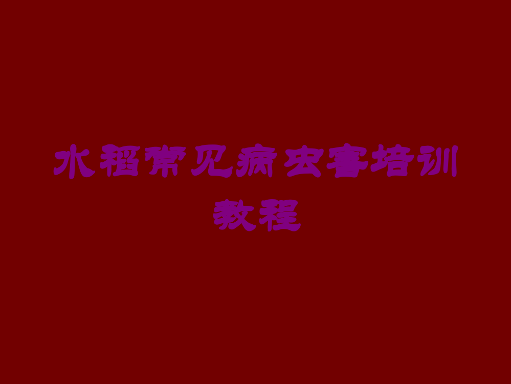 水稻常见病虫害培训教程培训课件