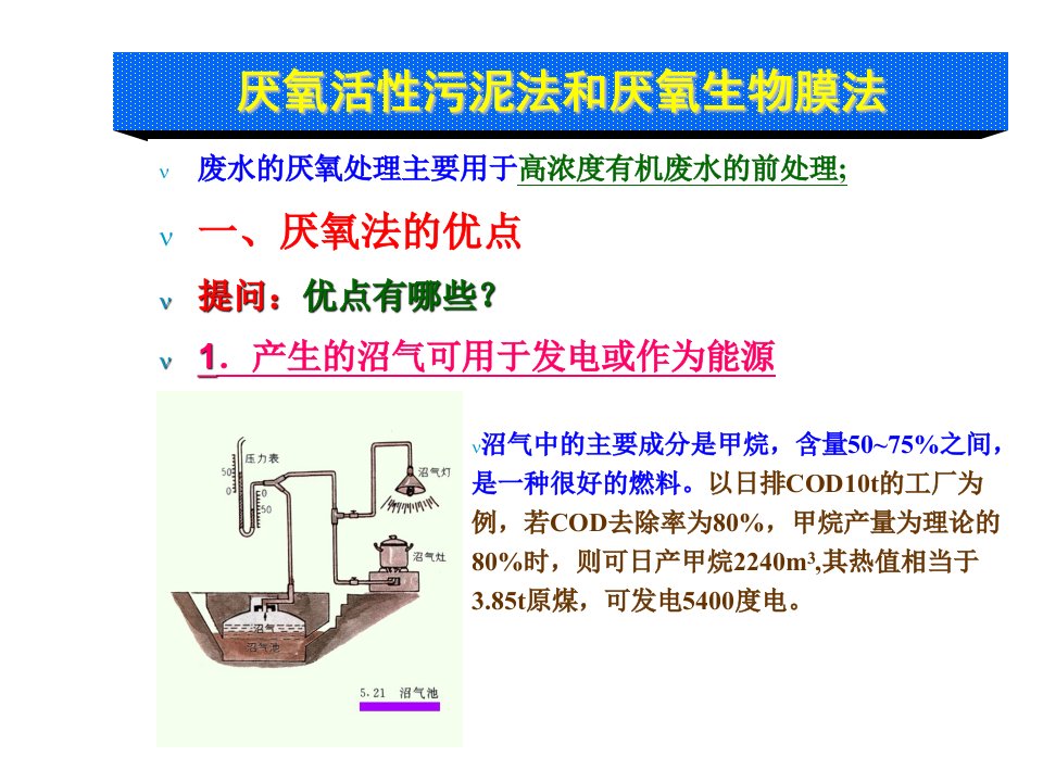 环境微生物学教学