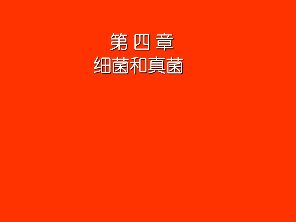 山东省八年级生物会考复习ppt课件：11细菌和真菌、病毒(人教版)