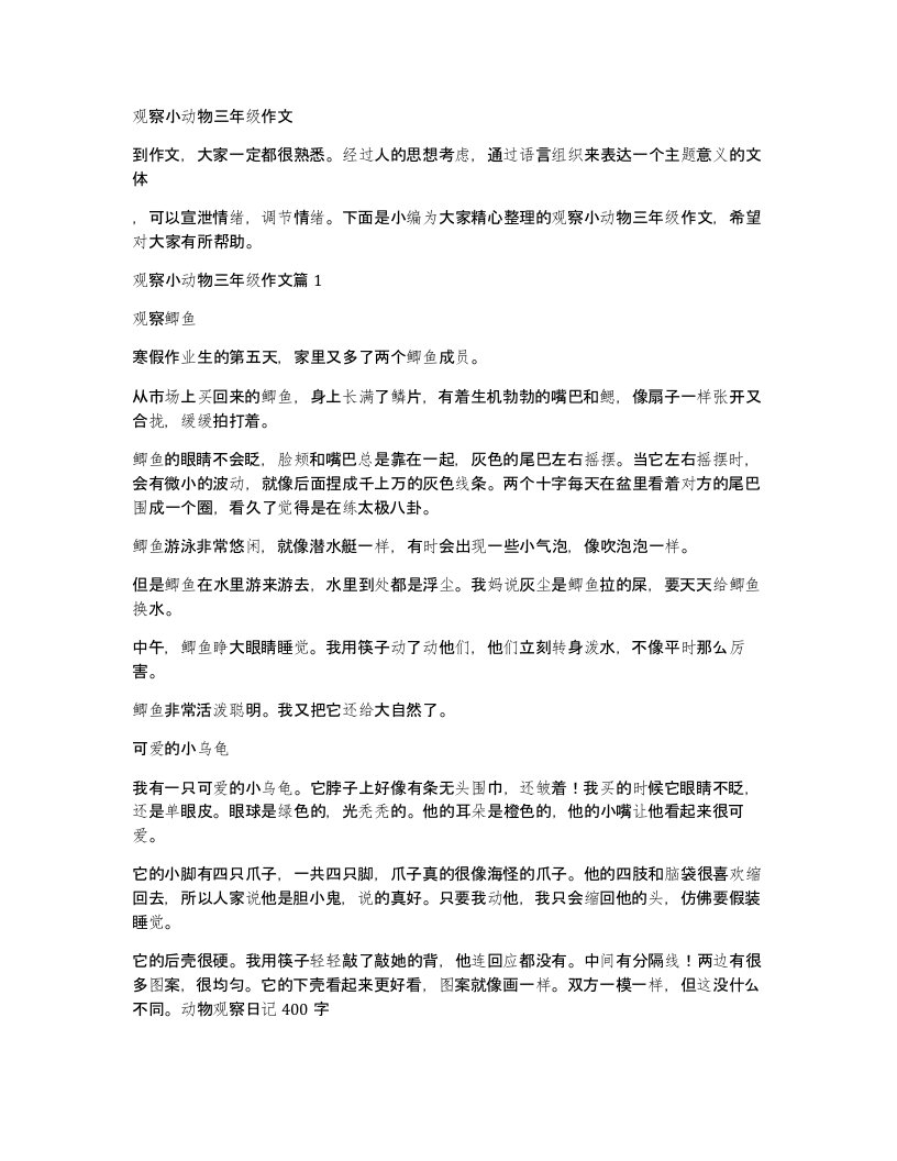 观察小动物三年级作文