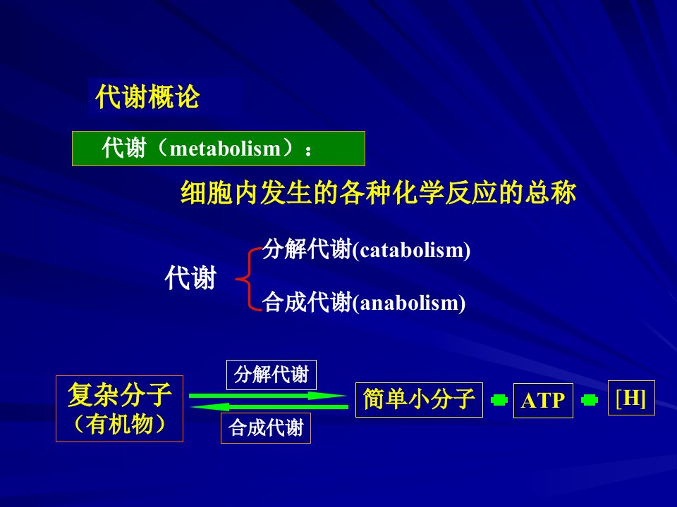 微生物的代谢