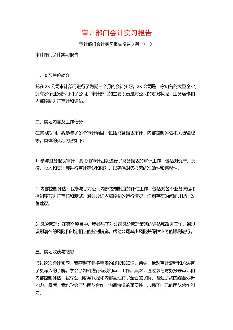 审计部门会计实习报告3篇