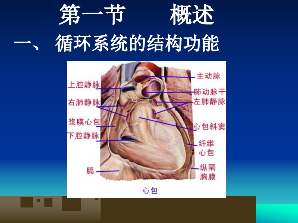 三章循环系统疾病病人的护理