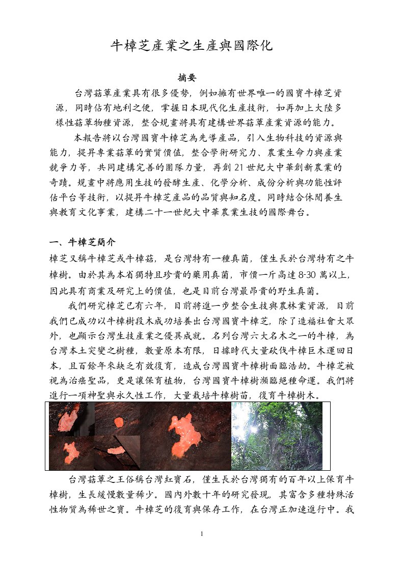 精选牛樟芝产业之生产与国际化