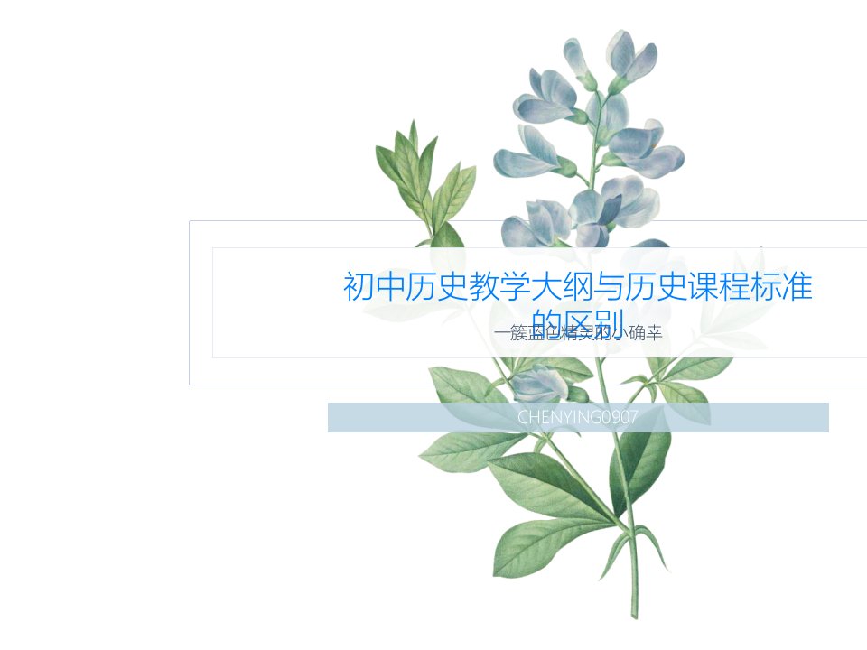 初中历史教学大纲与历史课程标准的区别