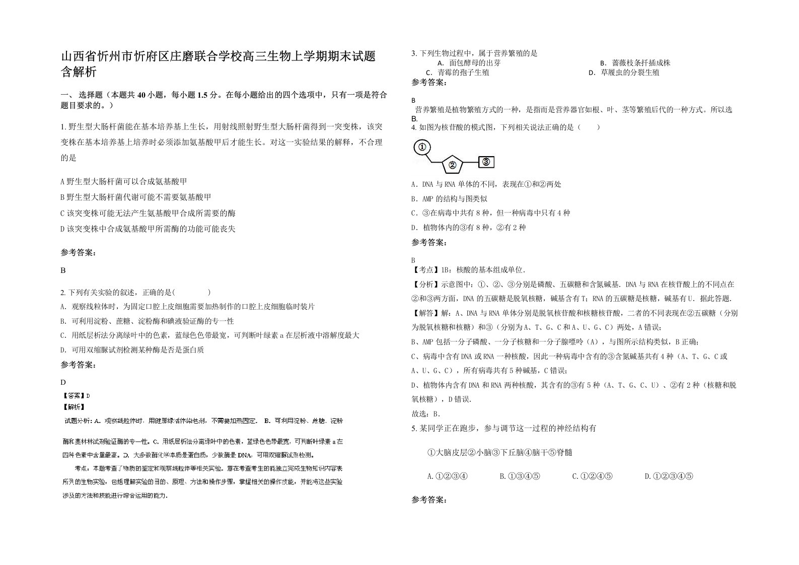 山西省忻州市忻府区庄磨联合学校高三生物上学期期末试题含解析