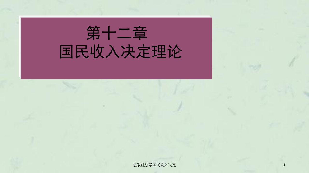 宏观经济学国民收入决定课件