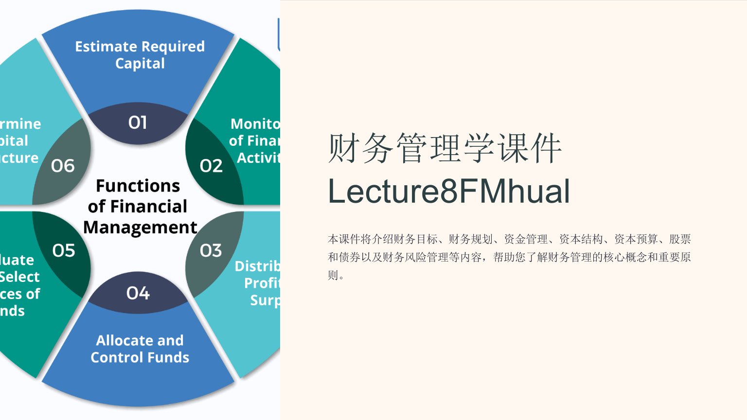 财务管理学课件Lecture8FMhual