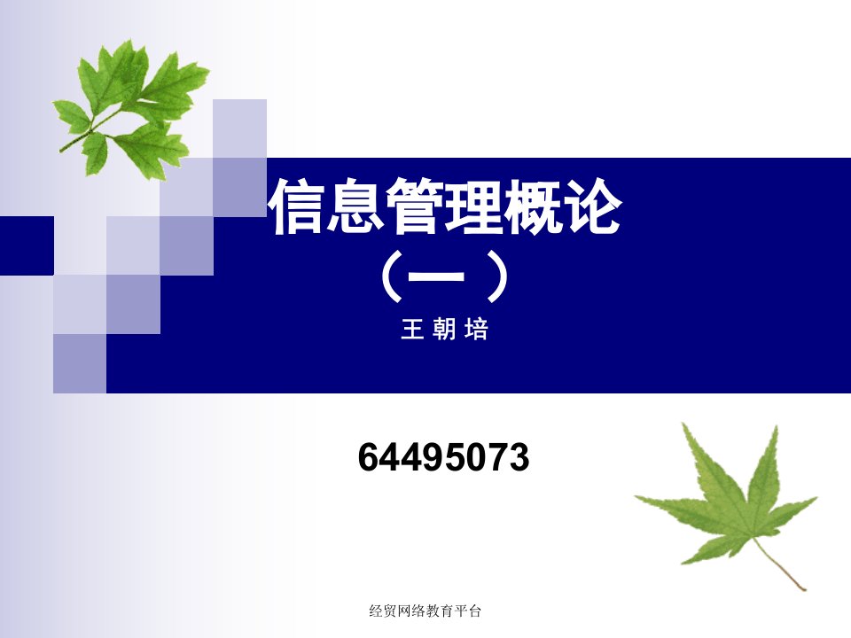 信息管理概论(一)