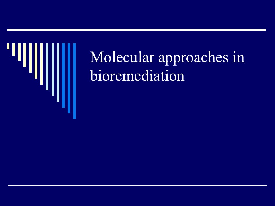 硕士研究课现代分子生物学Molecularapproachesinbioremediation胡忠ppt课件