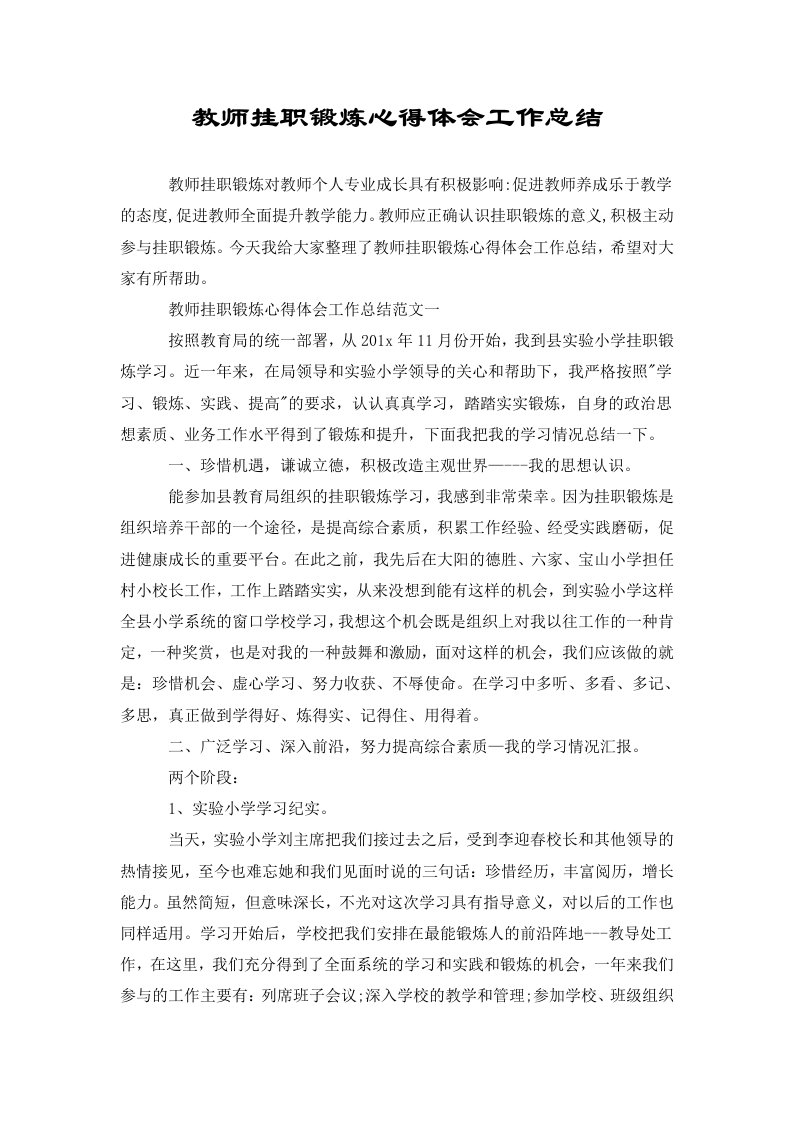 教师挂职锻炼心得体会工作总结