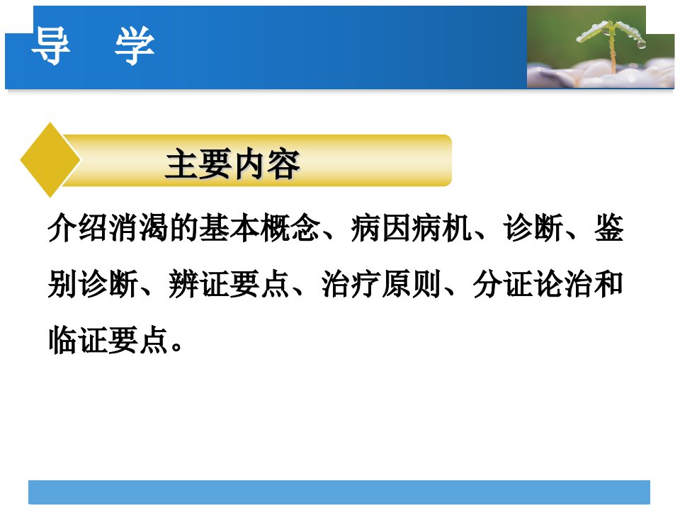 中医内科学消渴已完成1