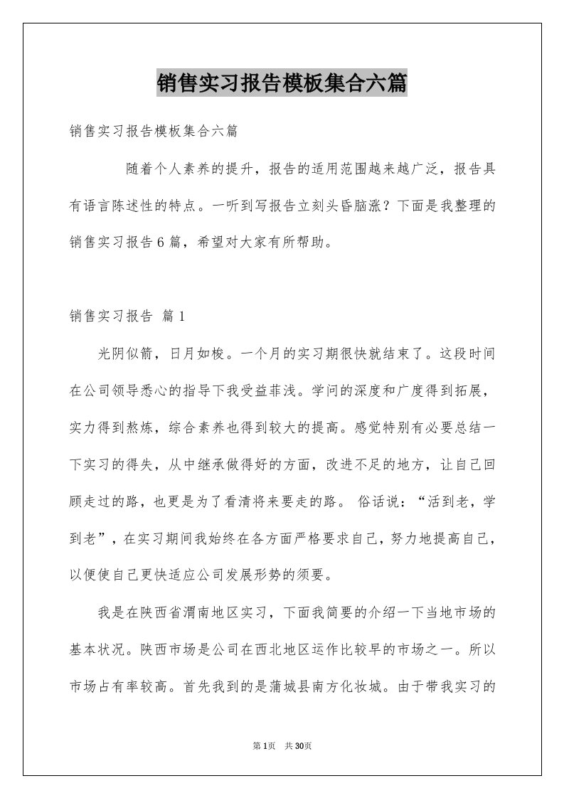 销售实习报告模板集合六篇