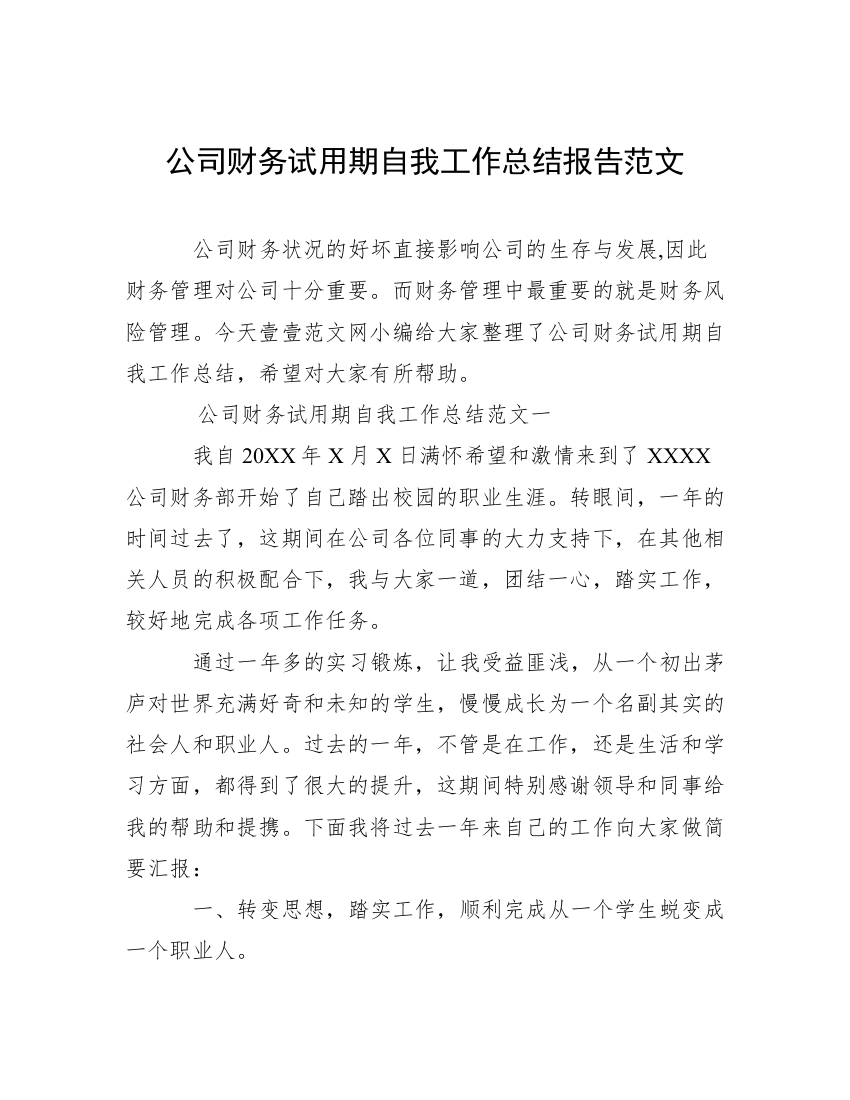 公司财务试用期自我工作总结报告范文