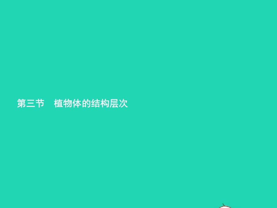 2022七年级生物上册第2单元生物体的结构层次第二章细胞怎样构成生物体第3节植物体的结构层次课件新版新人教版