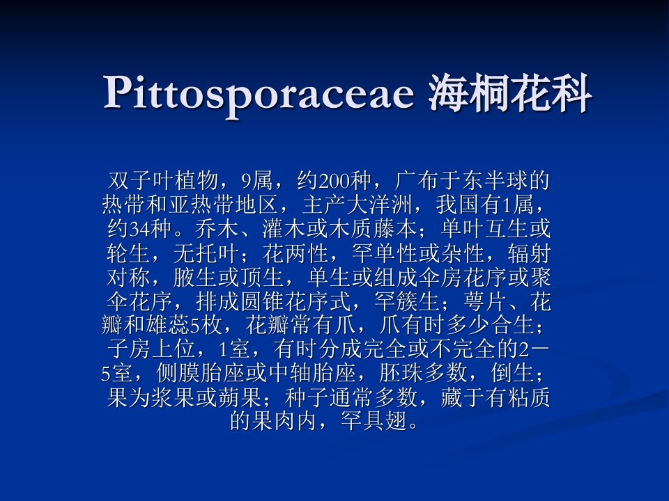 海桐花科-课件（PPT·精·选）