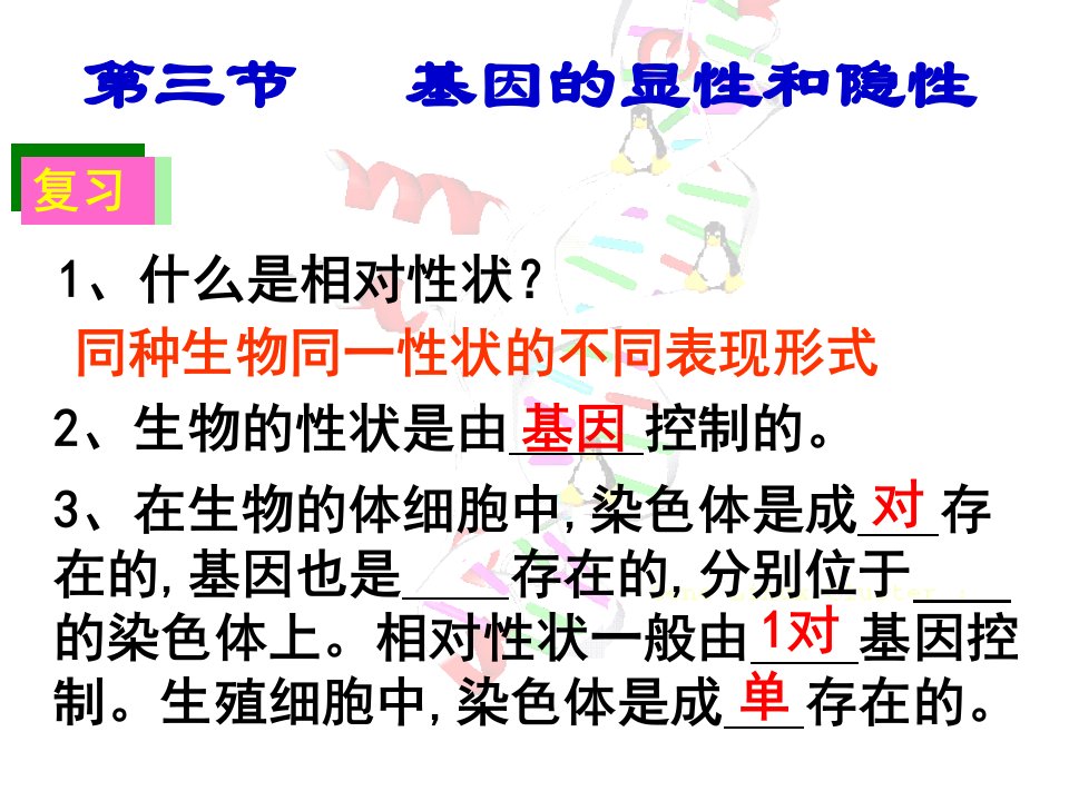 八年级下册生物第三节基因的显性和隐性课件