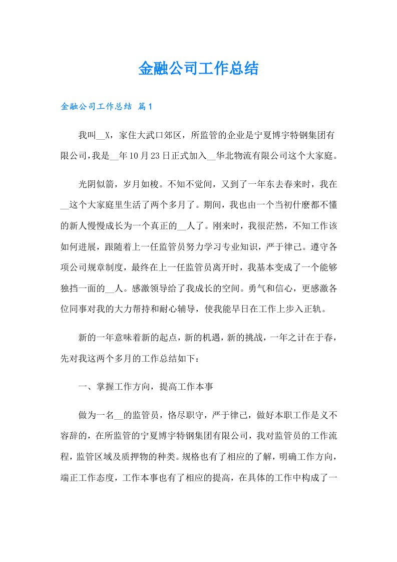 金融公司工作总结