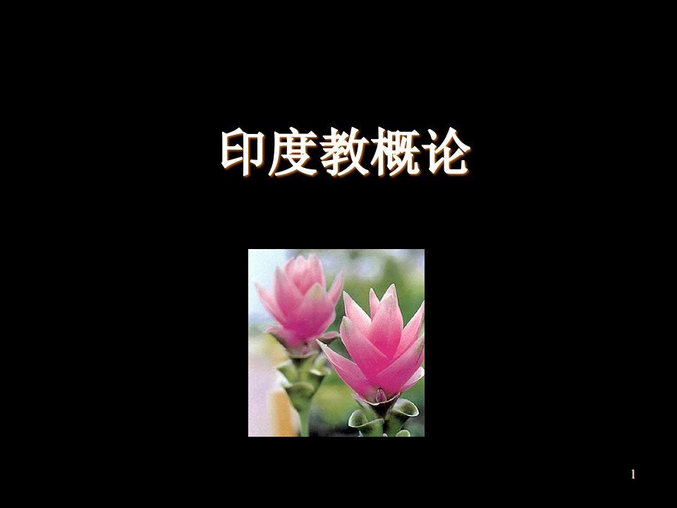 印度教-课件（PPT精）