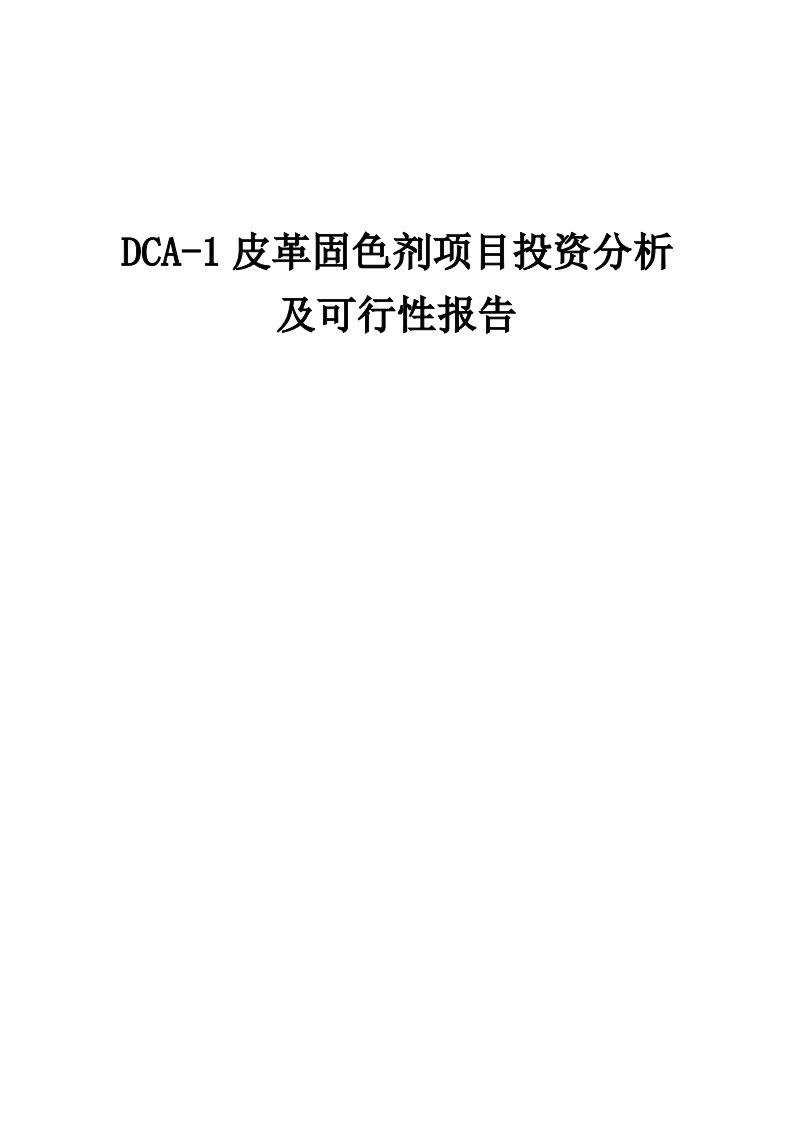 2024年DCA-1皮革固色剂项目投资分析及可行性报告