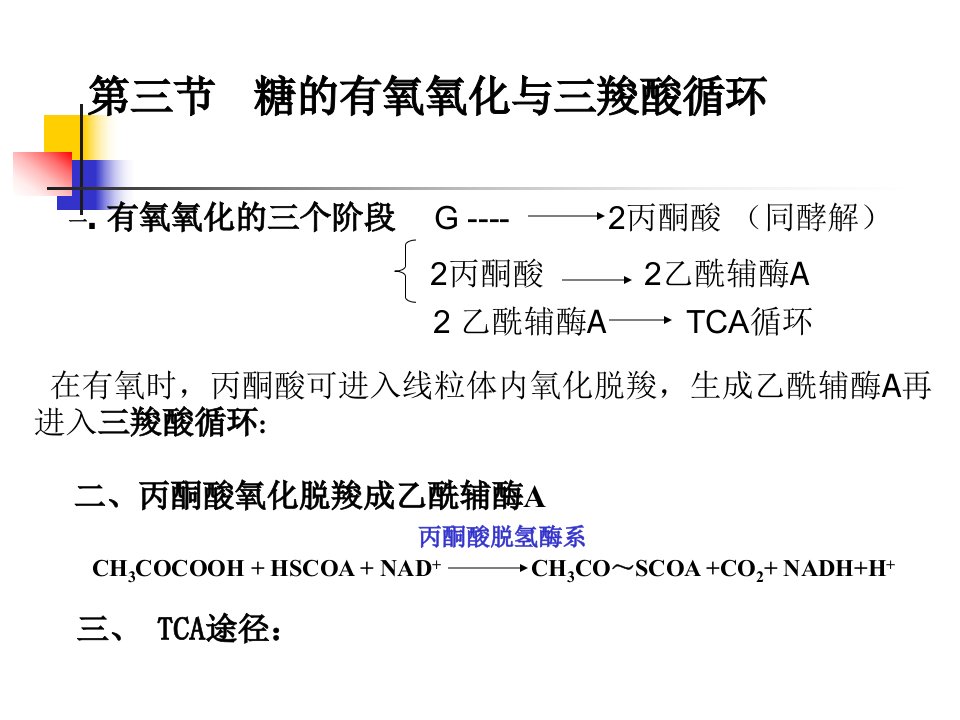 第三节糖的有氧氧化与三羧酸循环名师编辑PPT课件