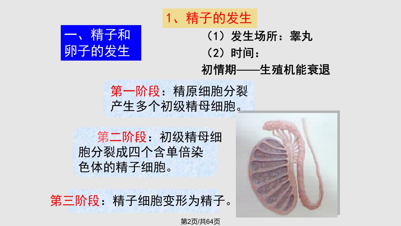 毕业答辩模板苏州大学文正学院