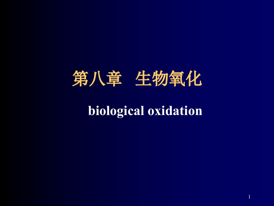 第八章生物氧化--精品课件