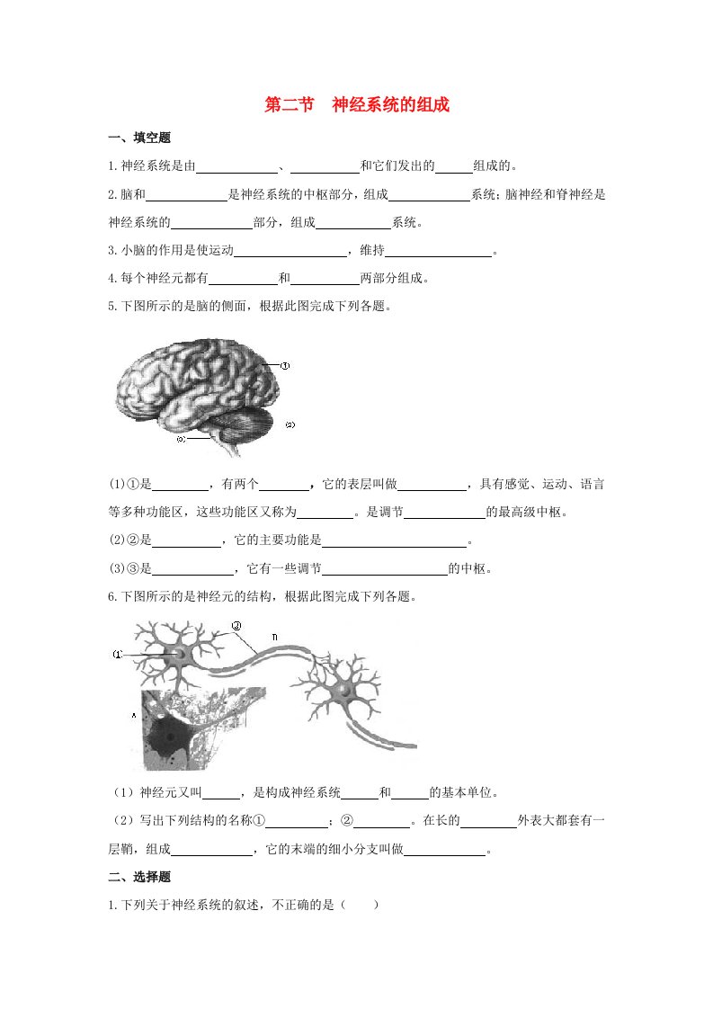 七年级生物下册4.6.2神经系统的组成同步练习新版新人教版