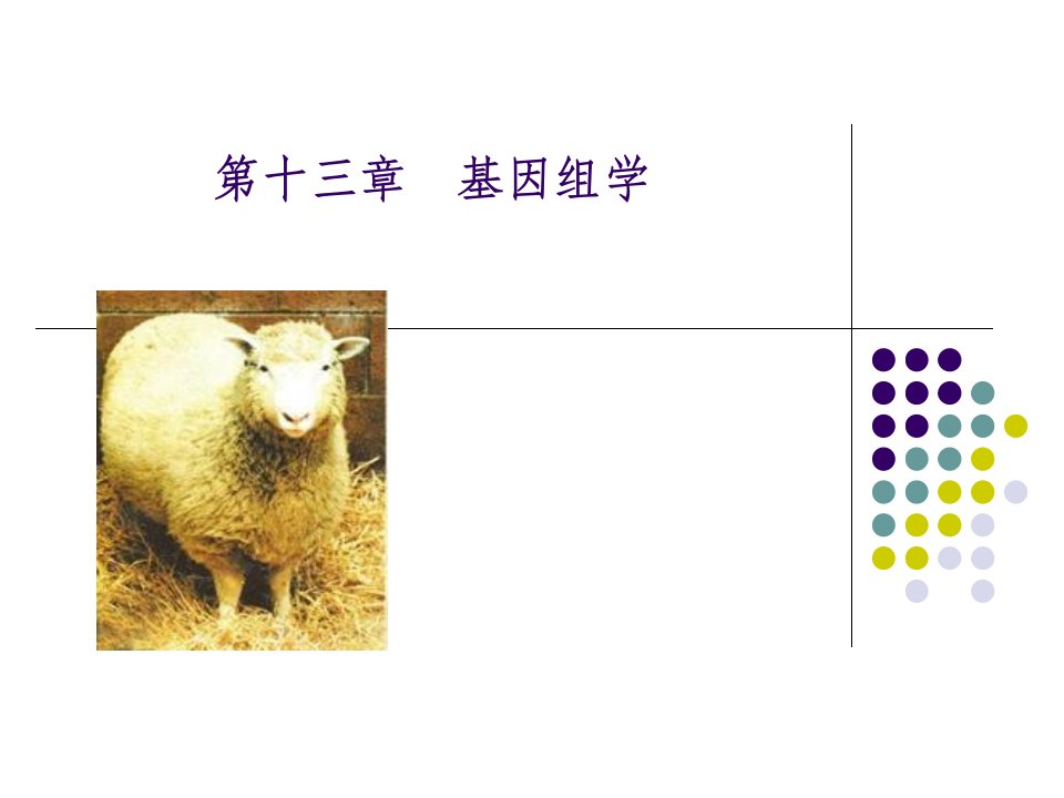 《基因组学》PPT课件