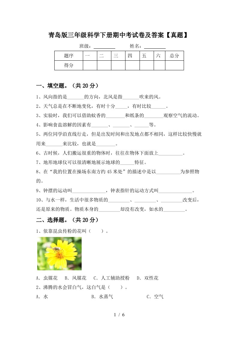 青岛版三年级科学下册期中考试卷及答案真题