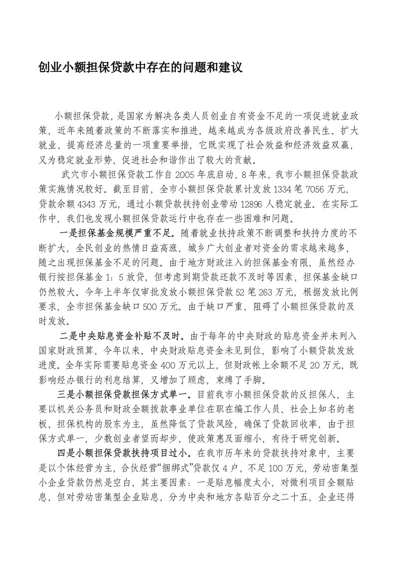 创业小额担保贷款中存在的问题和建议