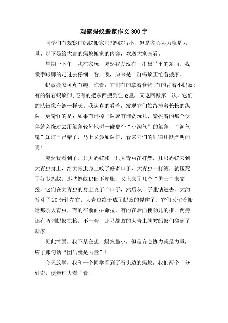 观察蚂蚁搬家作文300字