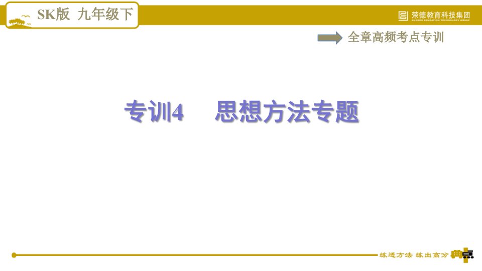 苏科版九年级下册物理课件第15章全章高频考点专训专训4思想方法专题0