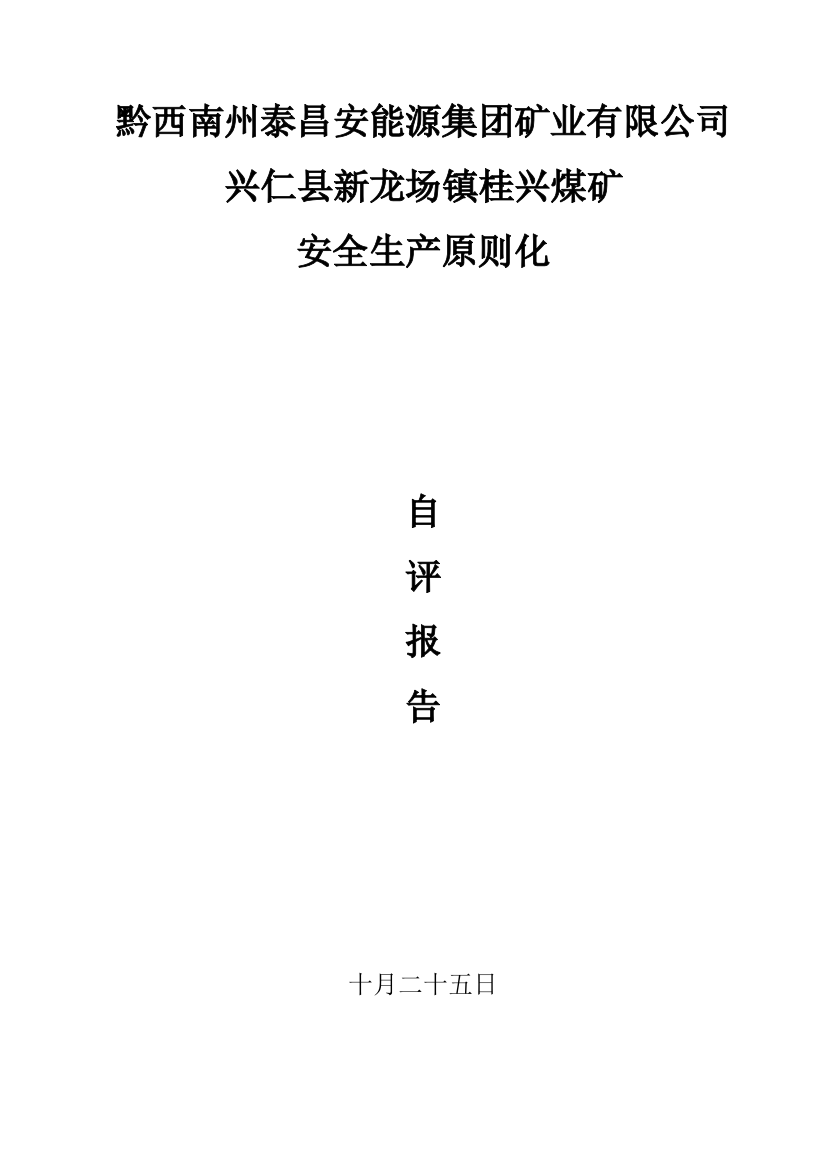 桂兴煤矿煤矿安全生产重点标准化自评经典报告