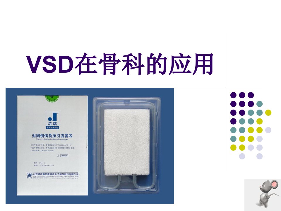 《VSD在骨科的应用》PPT课件