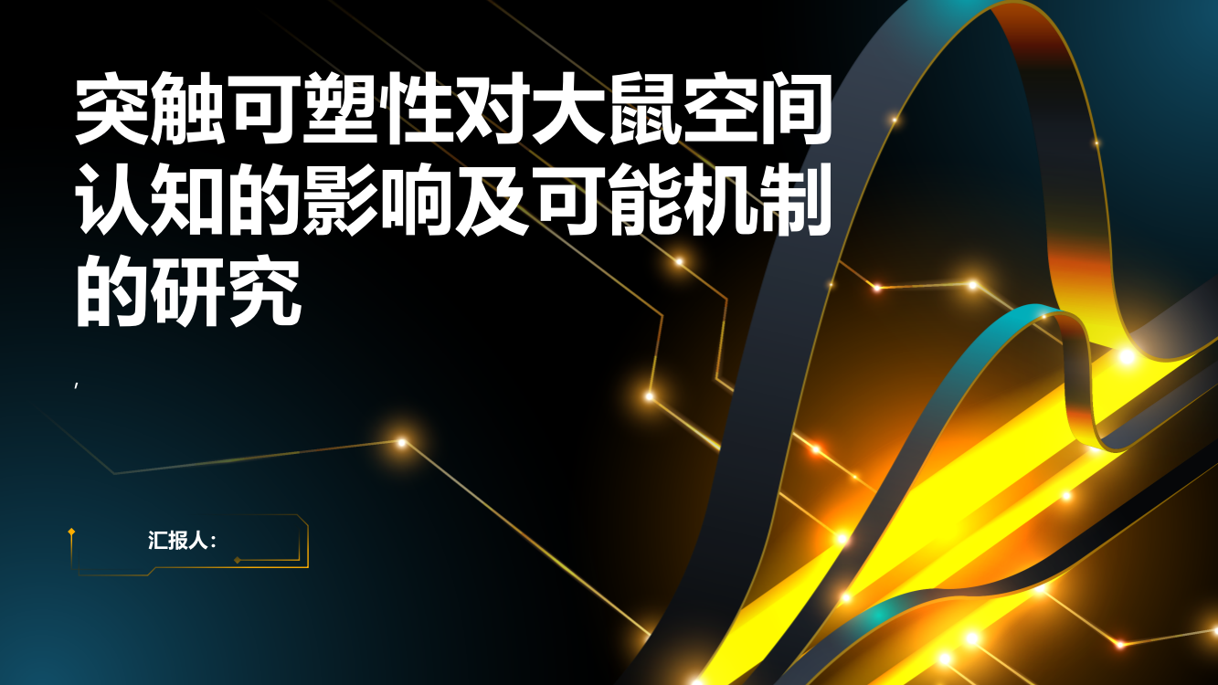 突触可塑性对大鼠空间认知的影响及可能机制的研究