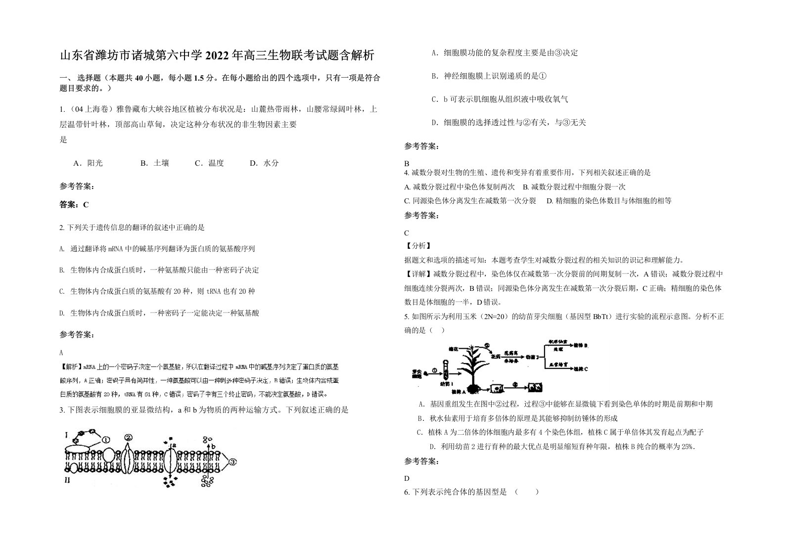 山东省潍坊市诸城第六中学2022年高三生物联考试题含解析