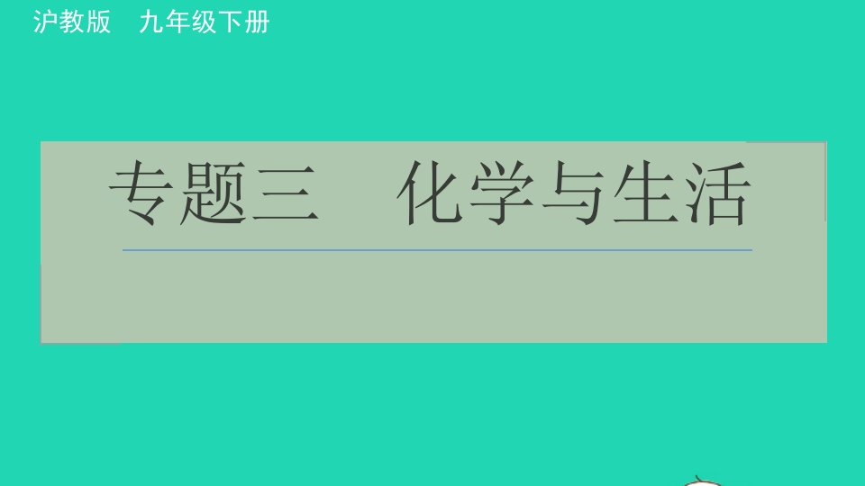 2022九年级化学下册专题三化学与生活习题课件沪教版